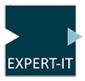 Expert-IT